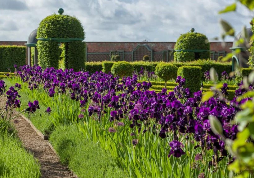 Thenford Gardens and Arboretum, United Kingdom